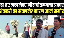 Jalgoan: जळगावमधील कापूस उत्पादक शेतकऱ्यांमध्ये तीव्र संतापाची लाट, कारण काय? | Cotton Farming