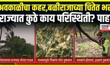 Maharashtra  Unseasonal Rain Effect: अवकाळीचा कहर,राज्यात कुठे काय परिस्थिती?
