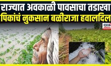 Avkali paus | राज्यात अवकाळी पावसाचा तडाखा, पिकांचं नुकसान बळीराजा हवालदिल | Unseasonal rain