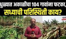 Dhule Unseasonal Rain Damage: धुळ्याला अवकाळीने झोडपून काढलं, शेतकऱ्यांचं मोठं नुकसान