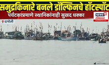 Ratnagiri Dolphin Hotspot: दापोलीतील समुद्र किनारे बनले डॉल्फिनचे हॉटस्पॉट