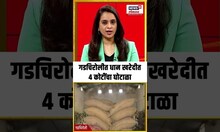 Gadchiroli Breaking News: गडचिरोलीत धान खरेदीत 4 कोटींचा घोटाळा