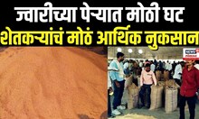 Washim News: ज्वारीच्या पेऱ्यात मोठी घट, शेतकऱ्यांचं मोठं आर्थिक नुकसान N18V