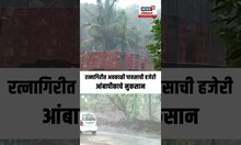 Ratnagiri  Unseasonal Rains: रत्नागिरीत अवकाळी पावसाची हजेरी, आंबा पीकाचे नुकसान N18S