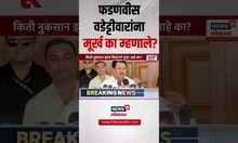 Vijay Wadettiwar Controversial Statement: वडेट्टीवारांचं वादग्रस्त वक्तव्य, फडणवीस भडकले