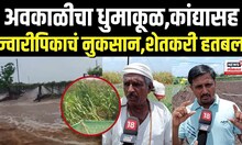 Nashik Farmers: अवकाळीने मोठं नुकसान,नाशिकमधील शेतकरी हतबल Unseasonal Rain N18V