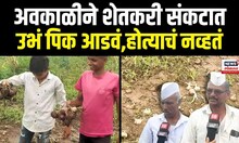Nashik Farmers On Unseasonal Rain Effect: अवकाळीचा फटका,शेतकऱ्यांचा आक्रोश N18V
