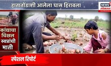 Special Report: कांद्याचा चिखल अन् स्वप्नांची माती, हातातोंडाशी आलेला घास हिरावला
