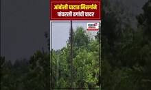 Sidhudurg Amboli Ghat | आंबोली घाटात पसरली ढगांची चादर | N18S