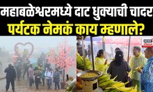Satara News: महाबळेश्वरमध्ये दाट धुक्याची चादर, पर्यटक नेमकं काय म्हणाले? | Mahabaleshwar N18V