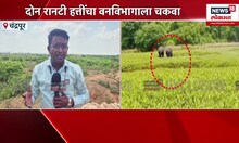 Chandrapur News: चंद्रपूरात दोन रानटी हत्तींचा वनविभागाला चकवा Elephant News