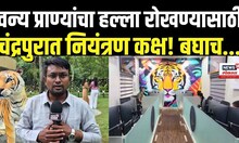 Chandrapur Breaking: वन्य प्राण्यांच्या हल्ल्यात वाढ, चंद्रपुरात उपाय म्हणून काय केलं?
