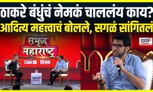 Aaditya Thackeray : मराठीचा मुद्दा ठाकरे बंधुंना एकत्र आणेल? आदित्य ठाकरे काय म्हणाले?