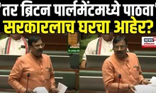 Sudhir Mungantiwar Speech: इंग्रजीवरून सभागृहात मुनगंटीवार आक्रमक,सरकारलाच घरचा आहेर? N18V