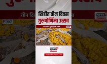 Shirdi Saibaba Mandir |  शिर्डीत तीन दिवस गुरुपोर्णिमा उत्सव