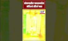 Ratnagiri Pawas Someshwar Mandir: कोकणातील पावसमधील मंदिराचं सौंदर्य पाहा Kokan N18S