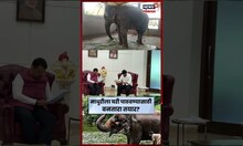 Mahadevi Elephant News: माधुरीला घरी पाठवण्याबाबत फडणवीसांची वनताराच्या अधिकाऱ्यांसोबत चर्चा N18S