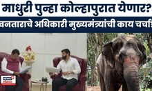 Kolhapur Mahadevi Elephant News: वनतारा व्यवस्थापनाचे वरिष्ठ अधिकारी मुख्यमंत्र्यांमध्ये काय चर्चा?