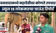 Madhuri Elephant News: वनतारामध्ये महादेवीवर कोणते उपचार?, न्यूज १८ लोकमतचा ग्राऊंड रिपोर्ट