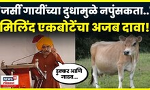 Milind Ekbote On Jersey Cow Milk News: जर्सी गायीला गाढव म्हणणं योग्य? एकबोटे असं काय म्हणाले? N18V