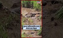 Sangli Crocodile : कृष्णा नदीच्या वाढलेल्या पाणी पातळीमुळे नदीपात्रातील मगरी थेट शेतात Marathi News