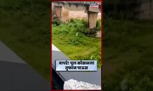 Himachal Pradesh: कांग्र्यातील धांगू परिसरात Chakki Bridge चा काही भाग मुसळधार पावसामुळे कोसळला N18S