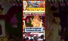 Dagdusheth Ganpati 2025 Pune News: दगडूशेठ गणपतीचं थाटात आगमन, मिरवणूक बघण्यासारखीच... N18S