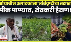 Dharashiv Heavy Rain Fall News: धाराशिव जिल्ह्यात अतिवृष्टी, शेतकरी आर्थिक अडचणीत N18V