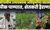 Dharashiv Heavy Rain Fall News: धाराशिव जिल्ह्यात अतिवृष्टी, शेतकरी आर्थिक अडचणीत N18V
