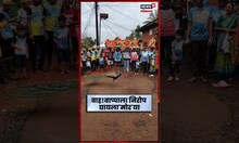 Peocock With Bappa | नाच रे मोरा.... कोकणवासियांची बाप्पाला निरोप द्यायला आलेल्या मोराला विनंती N18S