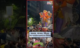 Mumbai Ganpati Bappa Visarjan|भर पावसातही हटले नाही भक्त, रेनकोट, छत्री घालून बाप्पाला निरोप द्यायला