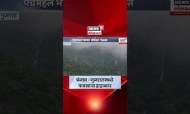 Himachal Pradesh - Gujrat - Punjab Heavy Rain | पंजाब- गुजरातमध्ये पावसाचा हाहाकार