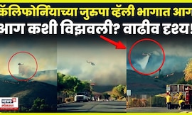 California Wlidfire Vide Viral |  जुरुपा व्हॅलीत लागलेली आग कशी विझवण्यात आली? N18G