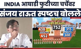 Sanjay Raut On Vice President Election Results | INDIA आघाडी फुटीच्या चर्चेवर राऊत काय म्हणाले?