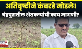 Chandrapur Farmer News | अतिवृष्टीने शेतकरी हैराण, शेतकऱ्यांची काय मागणी? N18V
