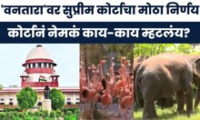 Supreme Court Clean Chit to Vantara | सुप्रीम कोर्टाकडून वनताराला क्लीन चिट, प्रकरण काय?