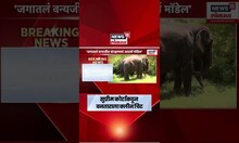 Supreme Court Clean Chit to Vantara | सुप्रीम कोर्टाकडून वनताराला क्लीन चिट, प्रकरण काय?