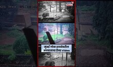 Mumbai Goa Highway Accident News | हातखंबामध्ये मुंबई गोवा राष्ट्रीय महामार्गवर भीषण अपघात N18S