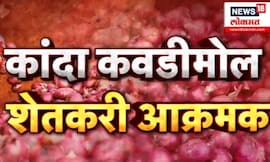 Shetakari News | Onion Price Crash| कांद्याचे दर पडले, सरकारला जाग कधी? | Marathi News