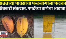 Parbhani Rain Updates News | शेतकरी संकटात, फळबागांना फटका...पपईच्या बागेचा थेट आढावा! N18V