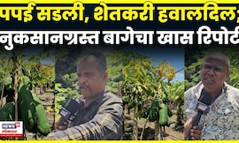 Pune News | पपईचं पीक सडायला लागलं...शेतकरी हवालदिल, वर्षभराचा मेहनतीवर पाणी फेरलं!