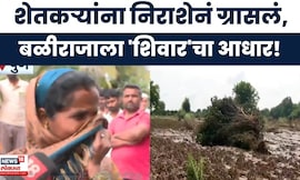 Marathwada Farmer News | मराठवाड्यातील शेतकरी चिंतेत, समुपदेशन हेल्पलाईनवर २४ तासांत १०० कॉल