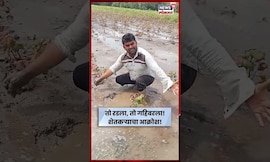 Beed Flood Update | पंचनामे कधी करणार? बीडमधील शेतकऱ्याने रडत मांडली व्यथा | N18S