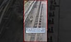 Nagpur Metro Sayal नागपूर मेट्रो ट्रॅकवर भर पावसात सायाळाचा थरार!  Video Viral #Shorts | N18S
