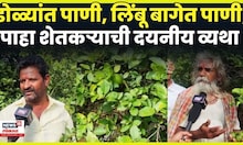 Solapur Rain News Today | 20 वर्षांची कमाई पाण्यात! शेतकऱ्यांचा लिंबू बाग वाचवण्यासाठी संघर्ष