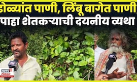 Solapur Rain News Today | 20 वर्षांची कमाई पाण्यात! शेतकऱ्यांचा लिंबू बाग वाचवण्यासाठी संघर्ष