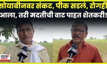 Wardha Rain News | सोयाबीन सडलं, तरीही अधिकारी पोहोचले नाहीत! शेतकऱ्यांना शासनाच्या मदतीची आस! N18V