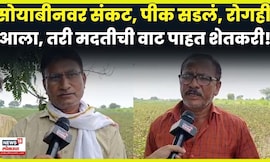 Wardha Rain News | सोयाबीन सडलं, तरीही अधिकारी पोहोचले नाहीत! शेतकऱ्यांना शासनाच्या मदतीची आस! N18V