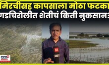 Gadchiroli Rain News | अतिवृष्टीने गडचिरोलीत शेतीचं किती नुकसान? N18V