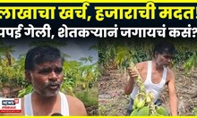 Dharashiv Flood News | लाखाचा खर्च, हजाराची मदत! अतिवृष्टीने धाराशिवमधील शेतकऱ्याची दैना| N18V